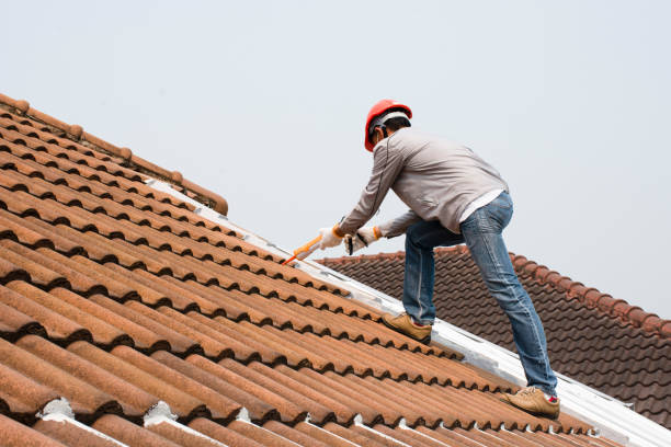 Best Asphalt Shingle Roofing  in Barton, NM
